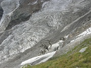Ancora impressionanti crepacci e seracchi!!